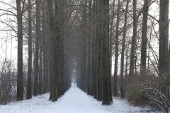 20190123